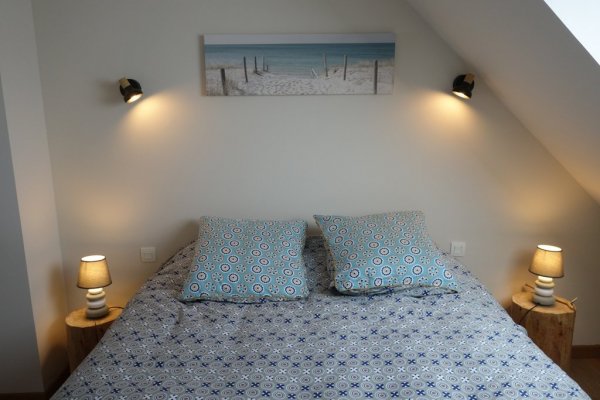 Gîte océanite